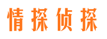 北塔侦探公司